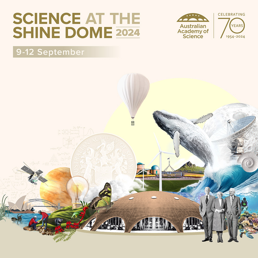 About our artwork for Science at the Shine Dome 2024 
