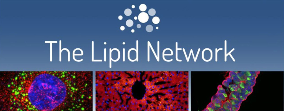 Theo Murphy Initiative (Australia): highlights of 2023–24 activities