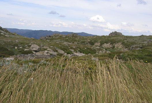 Grassland-covered hills beneath a cloudy sky