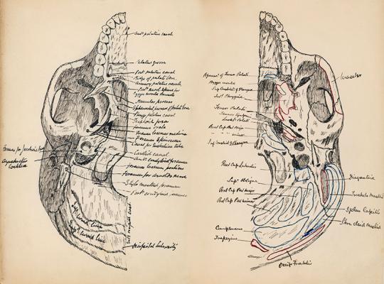 Digitisation of the Academy archives-thumbnail