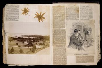 Adrien Loir, Louis Pasteur and the Australasian rabbit plague