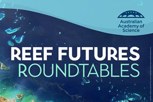 Discussions continue on the future of the Great Barrier Reef-thumbnail